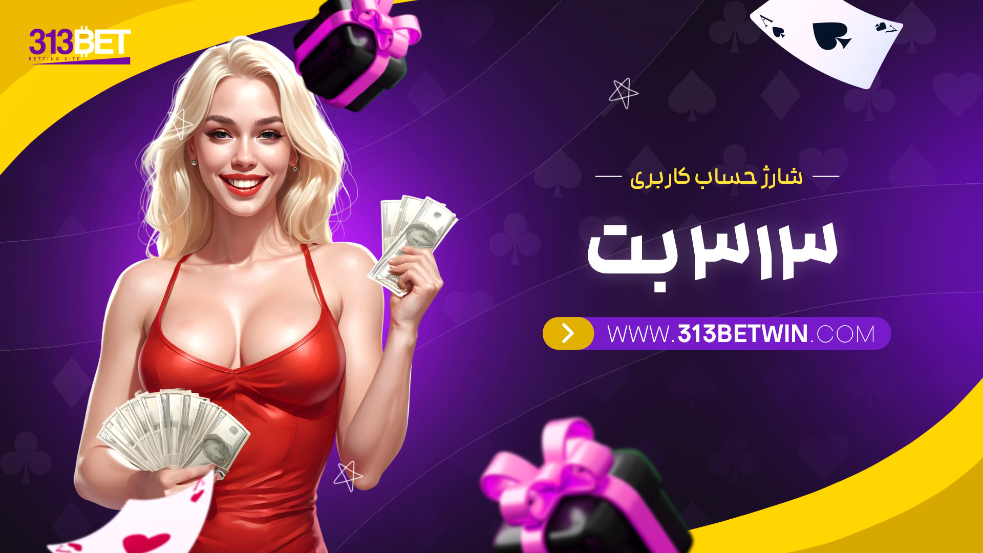 شارژ-حساب-کاربری-313-بت
