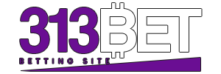 313 بت 313Bet